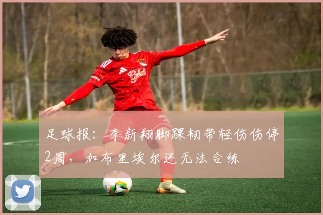 足球报：李新翔脚踝韧带轻伤伤停2周，加布里埃尔还无法合练