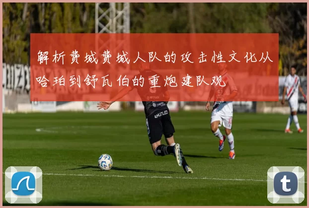 解析费城费城人队的攻击性文化从哈珀到舒瓦伯的重炮建队观