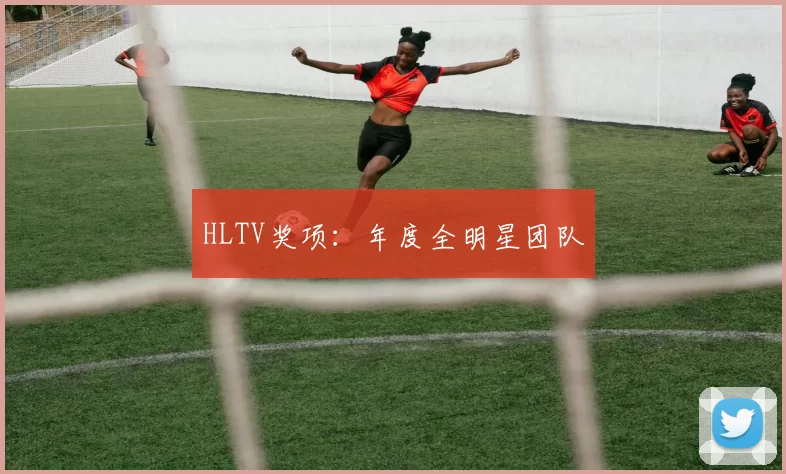 HLTV奖项：年度全明星团队