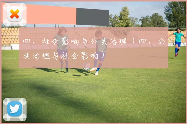 四、社会影响与公共治理（四、公共治理与社会影响）