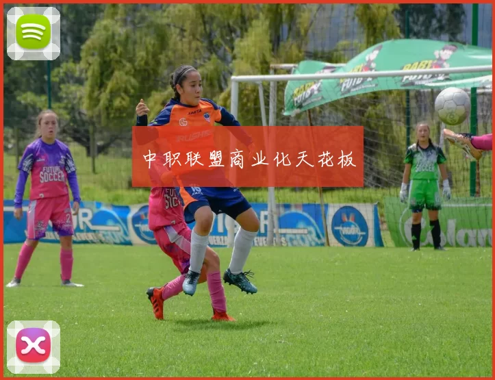 中职联盟商业化天花板